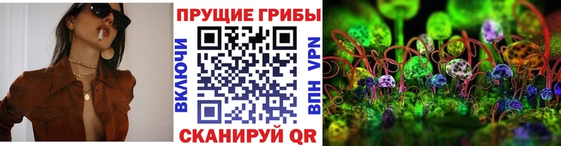 Купить закладки  Буй  Галлюциногенные грибы GOLDEN TEACHER 